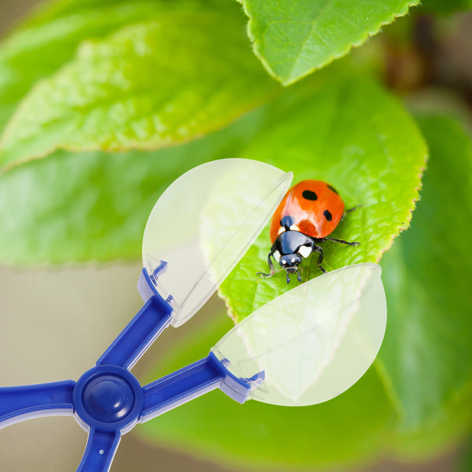 8Pcs Insect Catcher Scissors K – Outdoor Camping Toys Bewertung und Preis