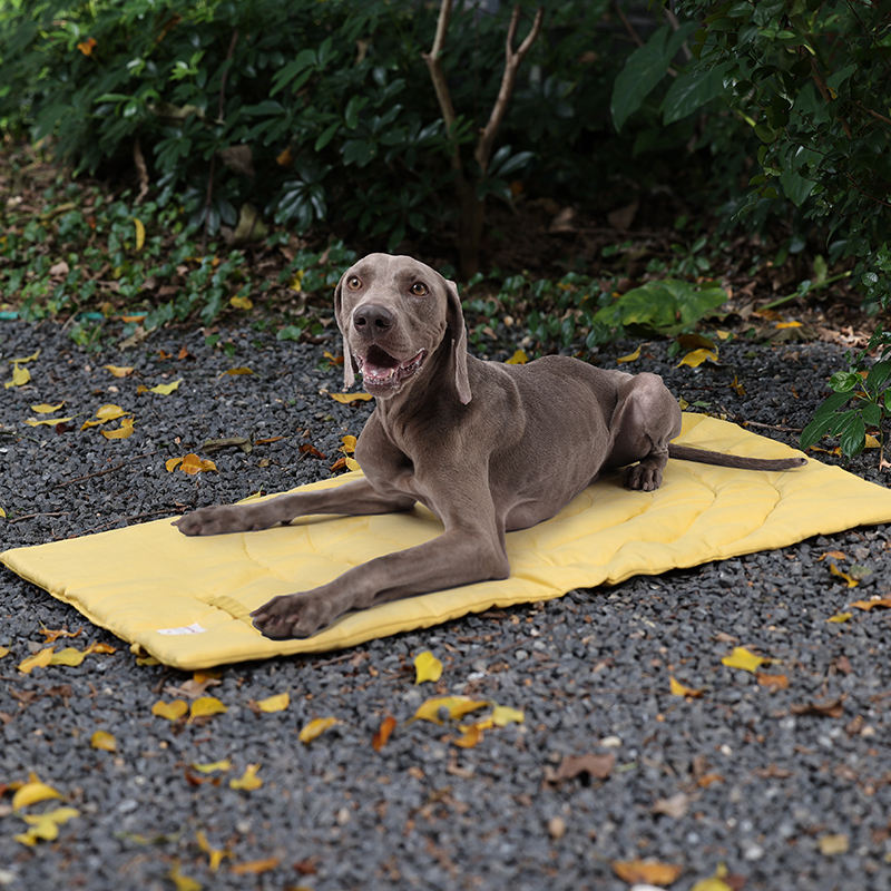 Portable Pet Mat Foldable Pet  – Outdoor Camping Dog Kennel Bewertung und Preis