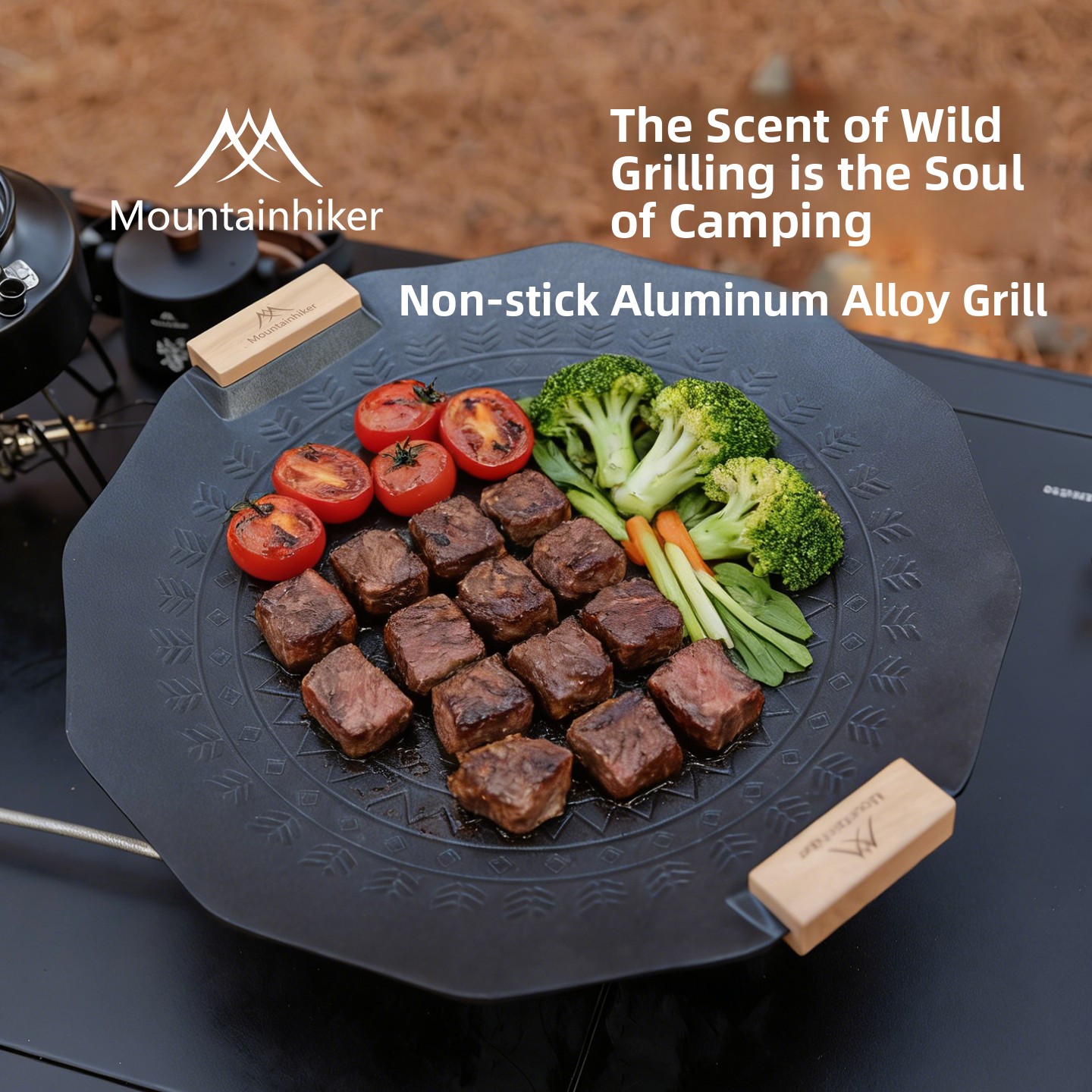 Outdoor Camping Cassette Stove – Outdoor Camping Stove Bewertung und Preis