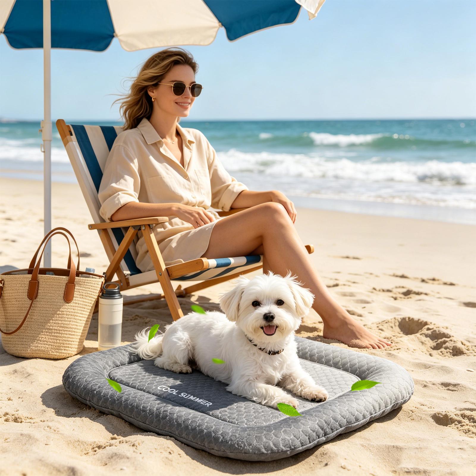 Dog Cooling Mat Portable Non-S – Outdoor Camping Dog Kennel Bewertung und Preis