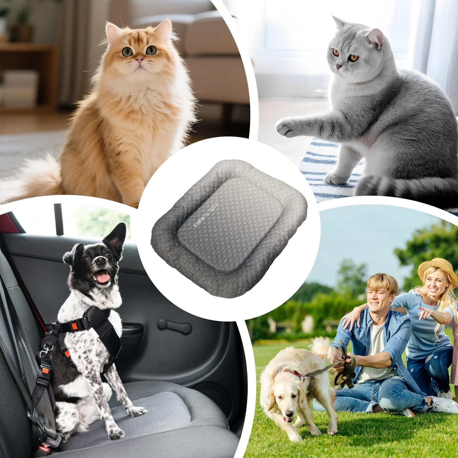 Dog Cooling Mat Portable Non-S – Outdoor Camping Dog Kennel Bewertung und Preis