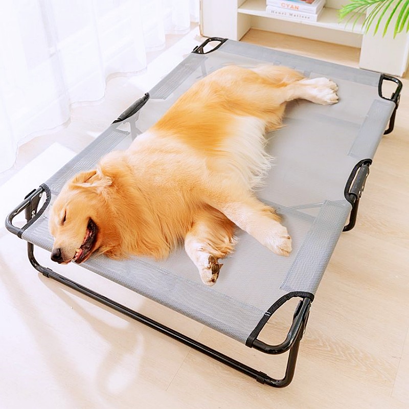 Dog Bed Foldable Dogs Beds Mat – Outdoor Camping Dog Kennel Bewertung und Preis